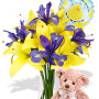 Asiatic and Iris Package with Medium Teddy Bear and Helium Balloon