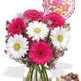 Gerbera Package , Chocolate Box and Its a Girl Helium Balloon