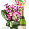 Dendrobium Orchid Package , Sparking wine and balloon