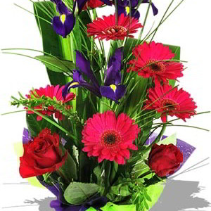 Assorted Arrangement , Iris, rose and gerbera