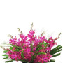 Orchid Arrangement