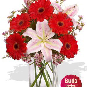 Gerberas and Oriental Lily Vase Bouquet