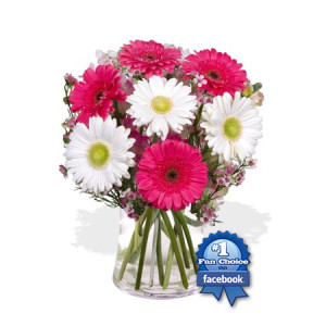 YYC Flowers 7 Gerbera Vase Bouquet