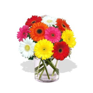 YYC Flowers 10 Gerbera Vase Bouquet