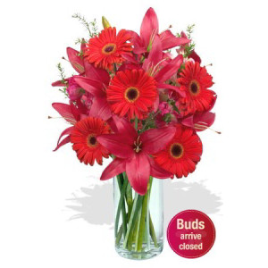 YYC Flowers Gerbera Lily Bouquet