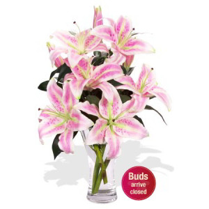 YYC Flowers 4 Oriental Pink Lily Vase Bouquet