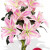 4 Oriental Pink Lily Vase Bouquet