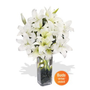 YYC Flowers 7 Oriental White Lily Bouquet