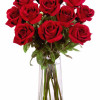 YYC Flowers Red Rose in Vase Gift