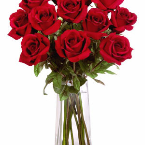 Red Rose in Vase | Elegant Single Rose Gift in Calgary