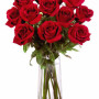 Red Rose in Vase | Elegant Single Rose Gift in Calgary