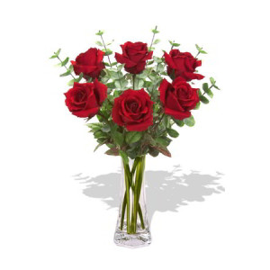 YYC Flowers 6 Long Stem Premium Roses Wrapped