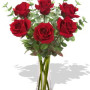 6 Long Stem Premium Roses Wrapped