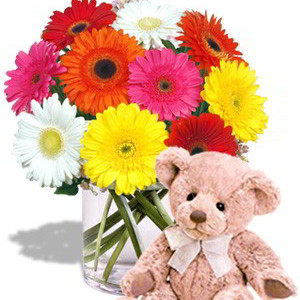 Gerbera Bouquet with Teddy