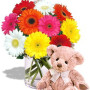 Gerbera Bouquet with Teddy
