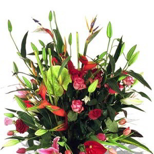 Large Assorted Arrangement