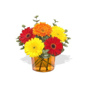 5 Small Mix Color Gerberas Vase Bouquet