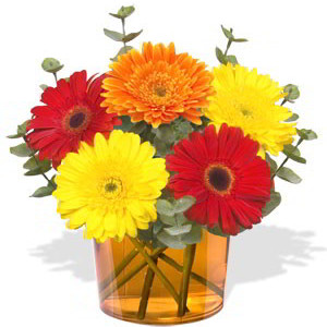 5 Small Gerberas Vase Bouquet