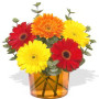 5 Small Gerberas Vase Bouquet