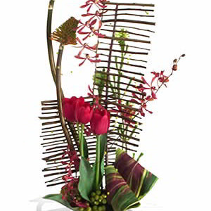 Exotic Designer Arrangement