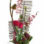 Exotic Designer Arrangement