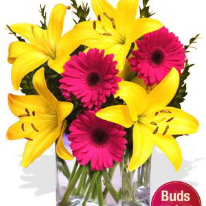 Gerbera and Lily Bouquet