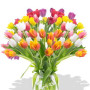 30pcs Large Mixed Color Tulips Bouquet