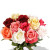 12 Mixed Short Stem Rose Vase Bouquet