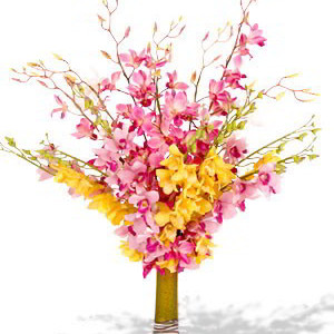 15 Mixed Dendrobium Orchids Vase Bouquet