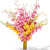 15 Mixed Dendrobium Orchids Vase Bouquet