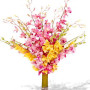 15 Mixed Dendrobium Orchids Vase Bouquet