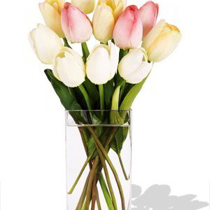 Direct Import YYC Flowers 10 Mixed Holland Tulips Vase Bouquet