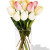 Direct Import YYC Flowers 10 Mixed Holland Tulips Vase Bouquet