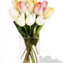 Direct Import YYC Flowers 10 Mixed Holland Tulips Vase Bouquet