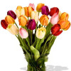 YYC Flowers 24 Mixed Tulips Vase Bouquet