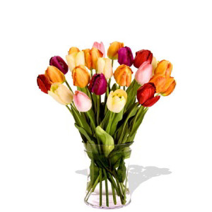 YYC Flowers 24 Mixed Tulips Vase Bouquet