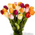 24 Mixed Tulips Bouquet