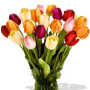 24 Mixed Tulips Bouquet