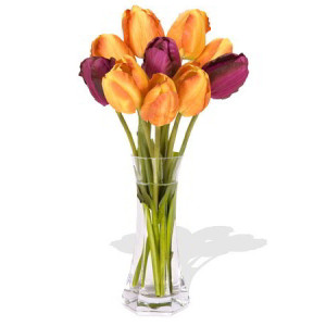 Direct YYC Flowers 10 Mixed Canada Tulips Bouquet