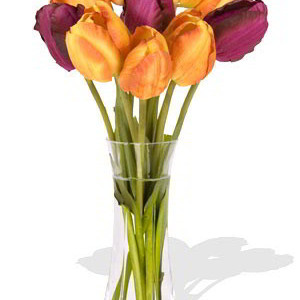 Direct YYC Flowers 10 Mixed Canada Tulips Bouquet