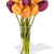 Direct YYC Flowers 10 Mixed Canada Tulips Bouquet