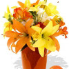 YYC Flowers Mixed Asiatic and Freesia Bouquet