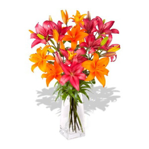YYC Flowers 8 Stem Mixed Asiatic Bouquet