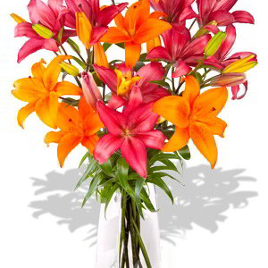 8 Stem Mixed Asiatic Bouquet