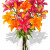 8 Stem Mixed Asiatic Bouquet