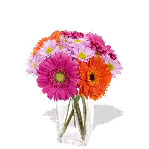 Mixed Gerbera Chrysanthemum Vase Bouquet