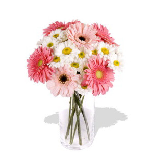 Colorful 11pcs Mixed Gerbera Chrysanthemum Vase Bouquet