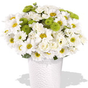 Mixed Spray Rose and Chryssie Bouquet