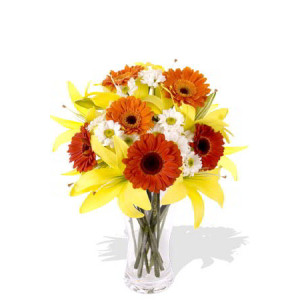 Medium Mixed Lily Gerbera Bouquet