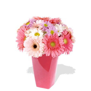 15pcs Mixed Gerbera and Chrysanthemum Bouquet